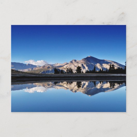 Mt. Dana, Tuolumne Meadows, Yosemite, CA. Briefkaart (Voorkant)