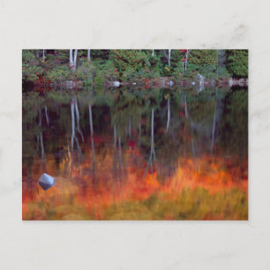 Mt. Desert Island Nationaal park Acadia, Maine Briefkaart