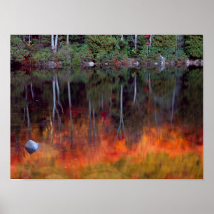 Mt. Desert Island   Nationaal park Acadia, Maine Poster