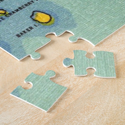 Mt Desert Island - Puzzle Acadia (Côté)