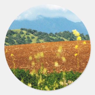 Mt Diablo Ronde Sticker