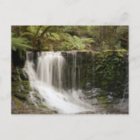 Mt. Field National Park | HERFST HOEFIJZER