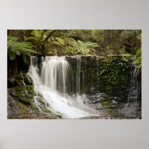 Mt. Field National Park Herfst Hoefijzer Poster