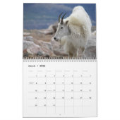 Mt Goats on Mt Evans, Colorado Kalender (Mar 2026)