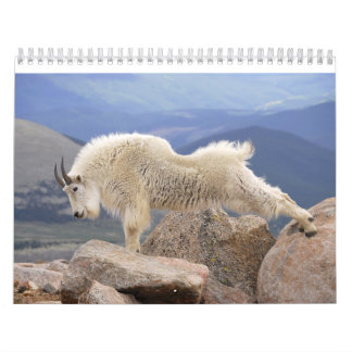 Mt Goats on Mt Evans, Colorado Kalender