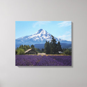 Mt Hood Lavender Fields Canvas Afdruk
