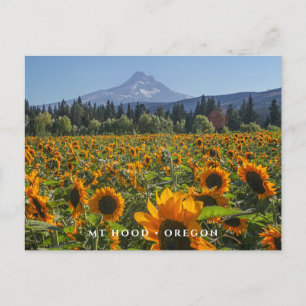 Mt Hood   Oregon Briefkaart