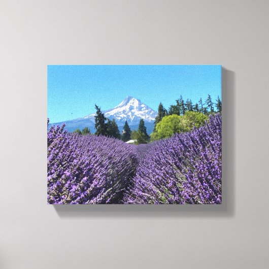 Mt Hood Oregon Canvas Afdruk (Voorkant)