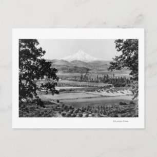 Mt. Hood uit de Hood River Valley-foto Briefkaart