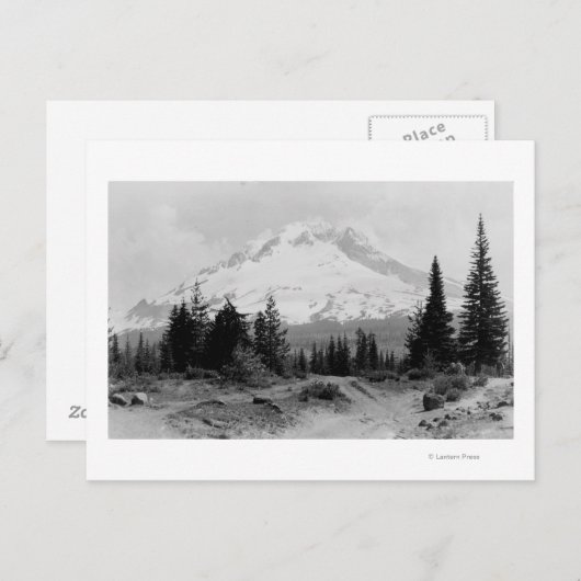 Mt. Hood Uitzicht uit Camp Foto van de regering Briefkaart (Voorkant / Achterkant)