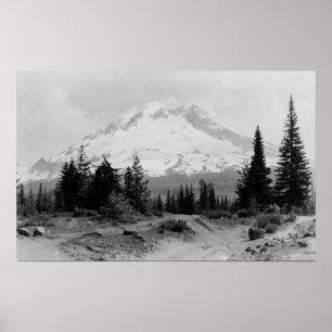 Mt. Hood Uitzicht uit Camp Foto van de regering Poster