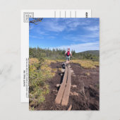 Mt. Jackson et Mt. Pierce Bog Bridge Carte postale (Devant / Derrière)