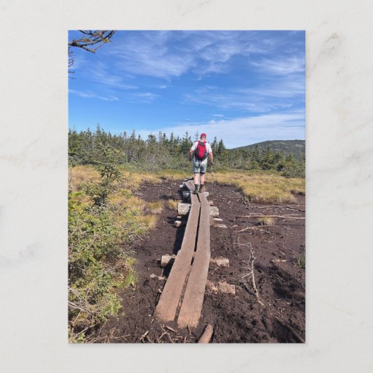 Mt. Jackson et Mt. Pierce Bog Bridge Carte postale (Devant)