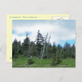 Mt. Mitchell Briefkaart (Voorkant / Achterkant)
