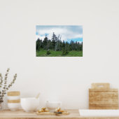 Mt. Mitchell I Poster (Keuken)