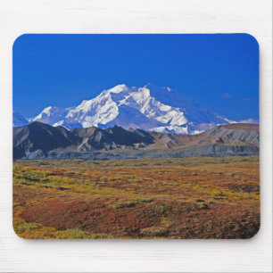 Mt. Nationaal Park McKinley Denali, Alaska. Muismat
