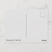 Mt. Rainier, carte postale Wa (Dos)