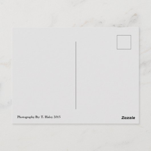 Mt. Rainier, carte postale Wa (Dos)