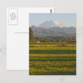 Mt. Rainier in de staat Washington Briefkaart (Voorkant / Achterkant)
