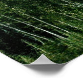 Mt Rainier Poster (Hoek)