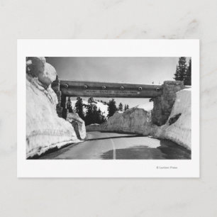 Mt. Rainier, WA Chinook Pass Summit Naches Pass Briefkaart