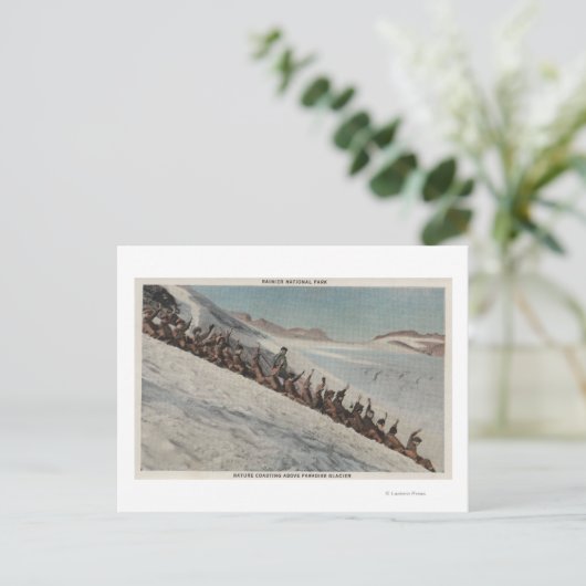 Mt. Rainier, WA - Lijn mensen die in Briefkaart (Staand voorkant)