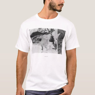 Mt. Rainier, WA Nisqually Glacier T-shirt