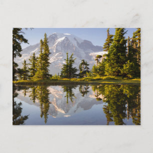 Mt. Rainier weerspiegeld in een bergmeer bij Plumm Briefkaart