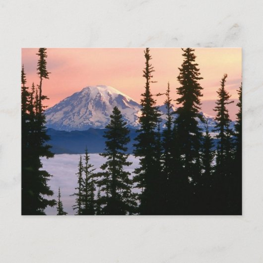 Mt. Ranier, Washington Briefkaart (Voorkant)