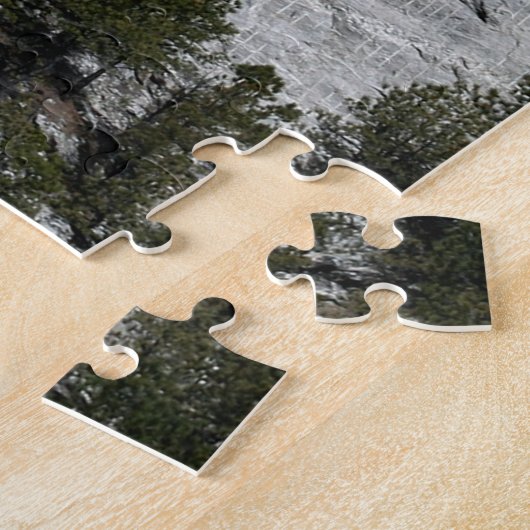 Mt. Rushmore Puzzle (Côté)