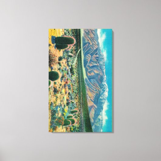 Mt. San Jacinto van Devil's Garden Canvas Afdruk (Voorkant)