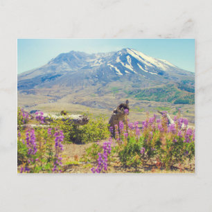 Mt. St. Helens Briefkaart