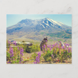 Mt. St. Helens Briefkaart