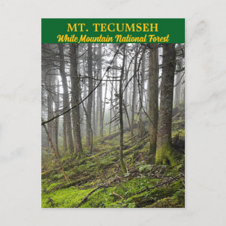 Mt. Tecumseh White Mountains Briefkaart