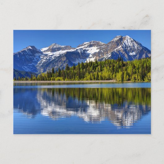 MT. Timpanogos reflecterend in het zilvermeer Briefkaart (Voorkant)