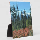 Mt. Washington in het najaar, OF Fotoplaat (Zijkant)