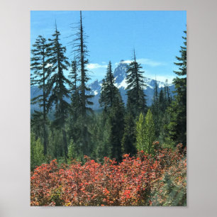 Mt. Washington in het najaar, OF Poster