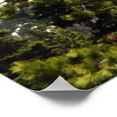 Mt. Washington Poster (Hoek)