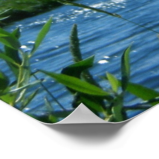 Mt. Washington Poster (Hoek)