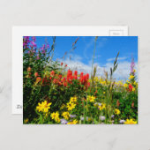 Mt. Wildbloemen Briefkaart (Voorkant / Achterkant)