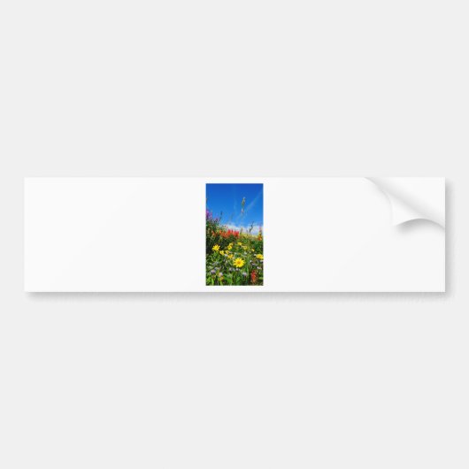 Mt. Wildbloemen Bumpersticker (Voorkant)