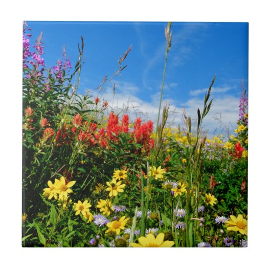 Mt. Wildbloemen Tegeltje (Voorkant)