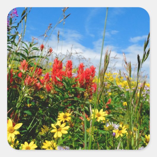 Mt. Wildbloemen Vierkante Sticker (Voorkant)