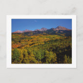 "Mt. Wilson - Aspen Tree Valley" Briefkaart (Voorkant)