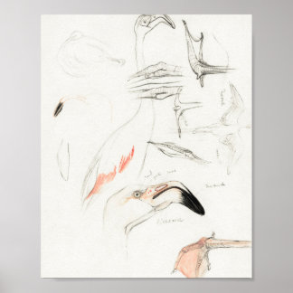 Mtheo van hoytema - kalender - herons art - accord poster