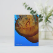 MTV 1 BRIEFKAART (Staand voorkant)