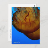 MTV 1 BRIEFKAART (Voorkant / Achterkant)