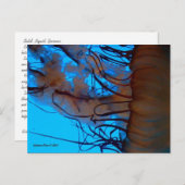 MTV 2 BRIEFKAART (Voorkant / Achterkant)