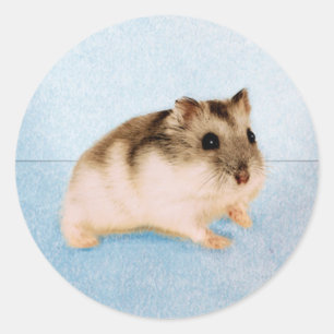 Mu Mu de Hamster Ronde Sticker
