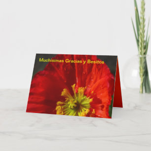 Muchísimas Gracias y Besitos Bedankkaart